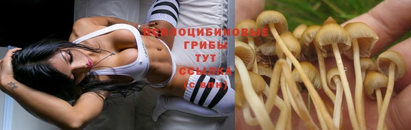 амфетамин Аркадак