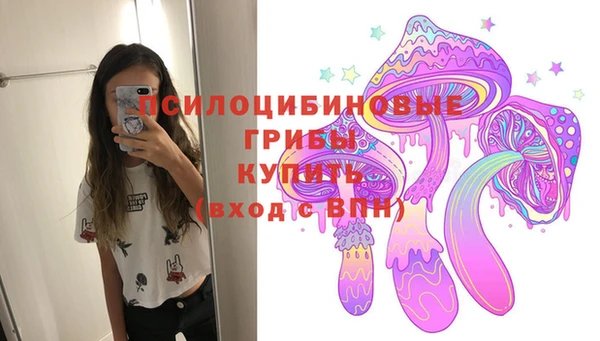 ПСИЛОЦИБИНОВЫЕ ГРИБЫ Няндома