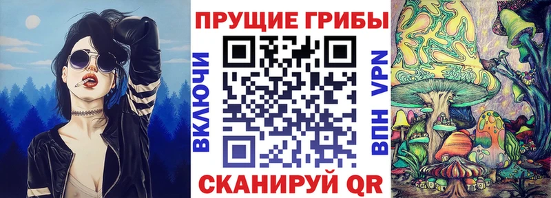 Псилоцибиновые грибы Psilocybine cubensis  Купить закладки  Барабинск 